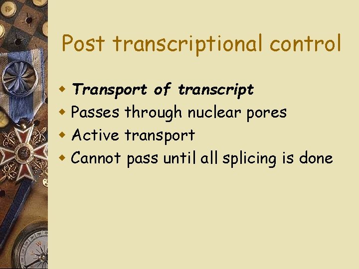 Post transcriptional control w Transport of transcript w Passes through nuclear pores w Active