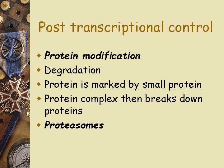 Post transcriptional control w Protein modification w Degradation w Protein is marked by small