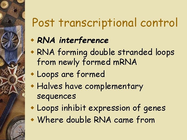 Post transcriptional control w RNA interference w RNA forming double stranded loops from newly