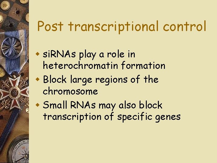 Post transcriptional control w si. RNAs play a role in heterochromatin formation w Block