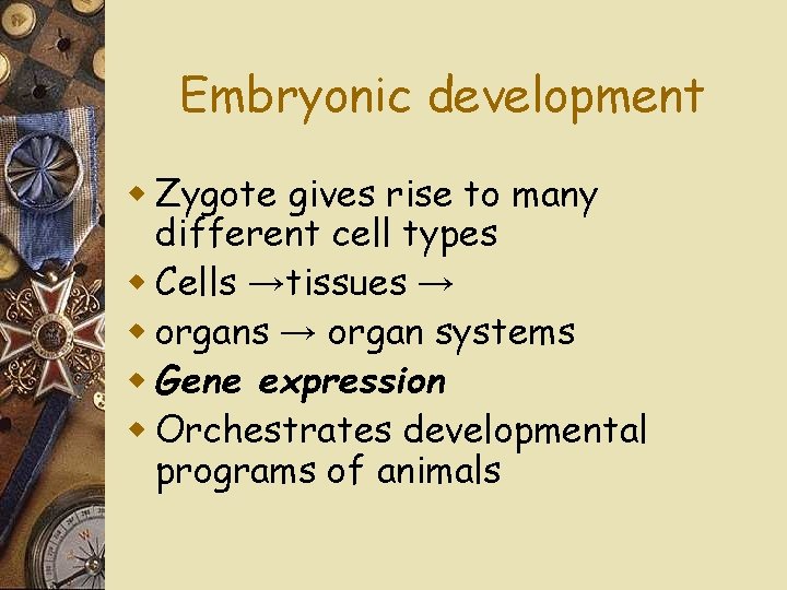 Embryonic development w Zygote gives rise to many different cell types w Cells →tissues