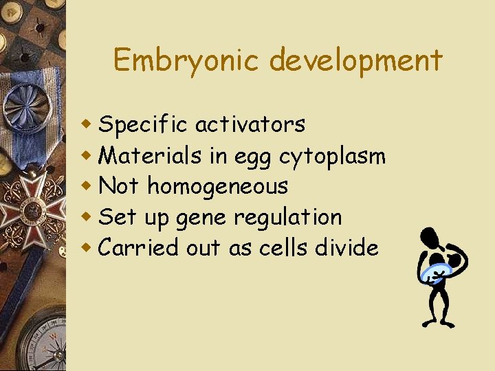 Embryonic development w Specific activators w Materials in egg cytoplasm w Not homogeneous w