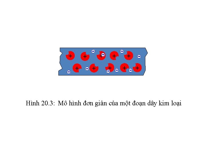 + + + + + Hình 20. 3: Mô hình đơn giản của một