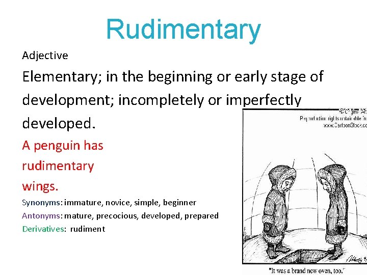 Rudimentary Adjective Elementary; in the beginning or early stage of development; incompletely or imperfectly
