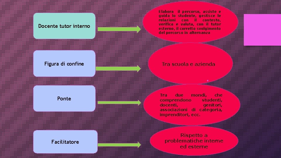 Docente tutor interno Figura di confine Ponte Facilitatore Elabora il percorso, assiste e guida