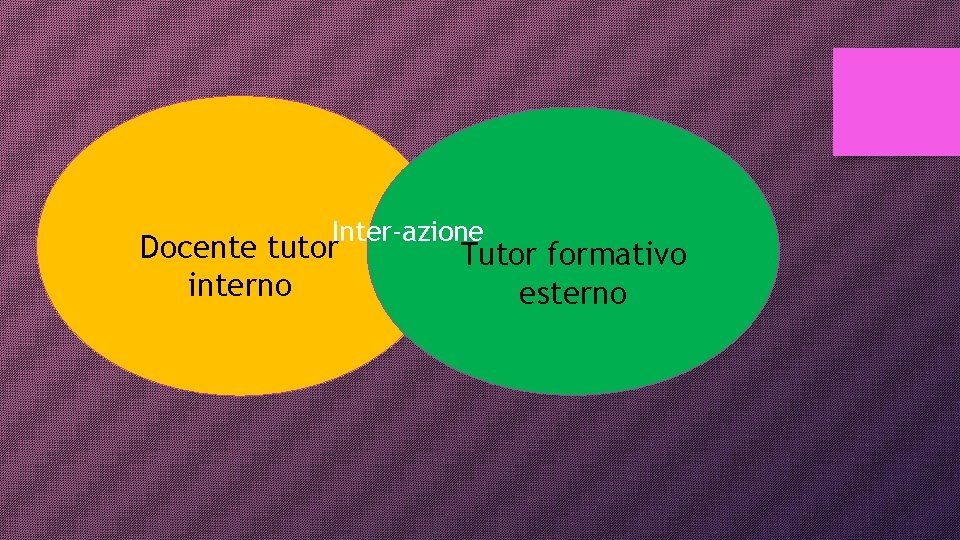 Inter-azione Docente tutor interno Tutor formativo esterno 