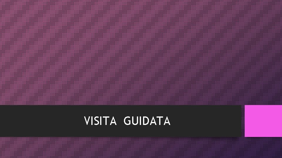 VISITA GUIDATA 