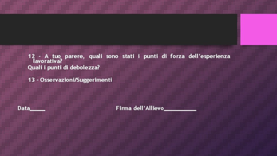 12 - A tuo parere, quali sono stati i punti di forza dell’esperienza lavorativa?