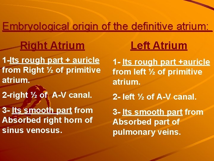 Embryological origin of the definitive atrium: Right Atrium Left Atrium 1 -Its rough part Embryological origin of the definitive atrium: Right Atrium Left Atrium 1 -Its rough part