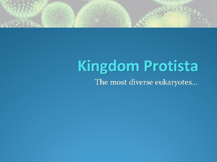 Kingdom Protista The most diverse eukaryotes… 
