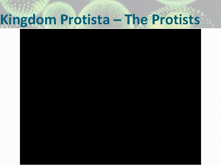 Kingdom Protista – The Protists 
