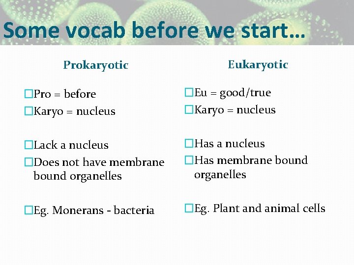 Some vocab before we start… Prokaryotic Eukaryotic �Pro = before �Karyo = nucleus �Eu