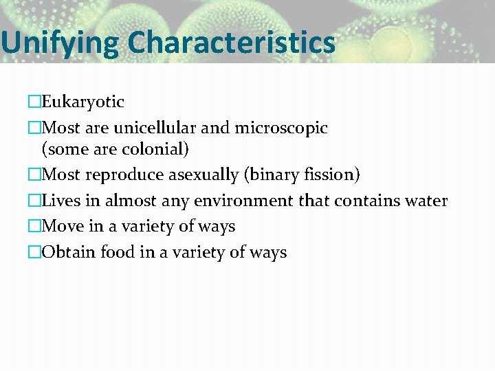 Unifying Characteristics �Eukaryotic �Most are unicellular and microscopic (some are colonial) �Most reproduce asexually