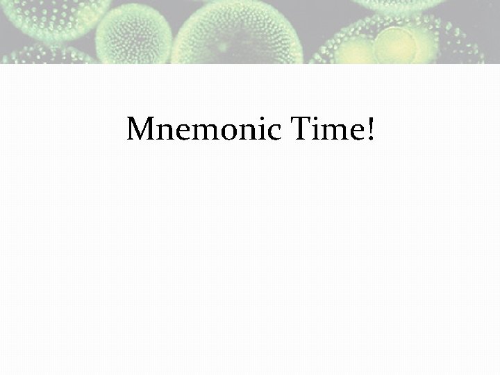 Mnemonic Time! 