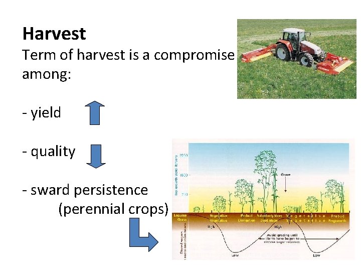 Harvest Term of harvest is a compromise among: - yield - quality - sward