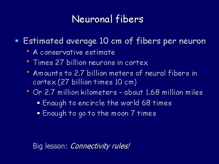 Neuronal fibers § Estimated average 10 cm of fibers per neuron • A conservative
