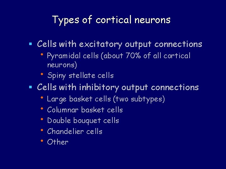 Types of cortical neurons § Cells with excitatory output connections • Pyramidal cells (about