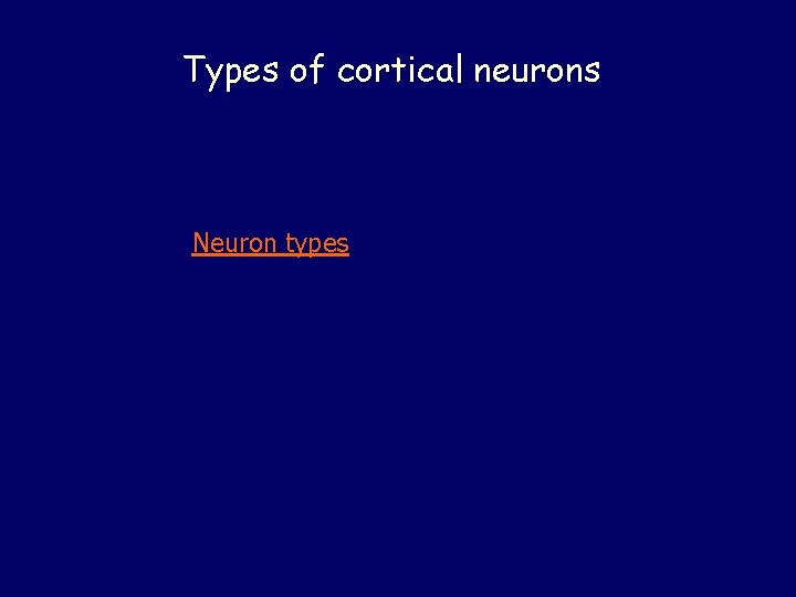 Types of cortical neurons Neuron types 