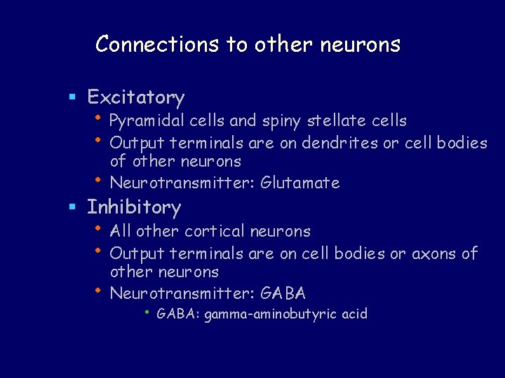 Connections to other neurons § Excitatory • Pyramidal cells and spiny stellate cells •