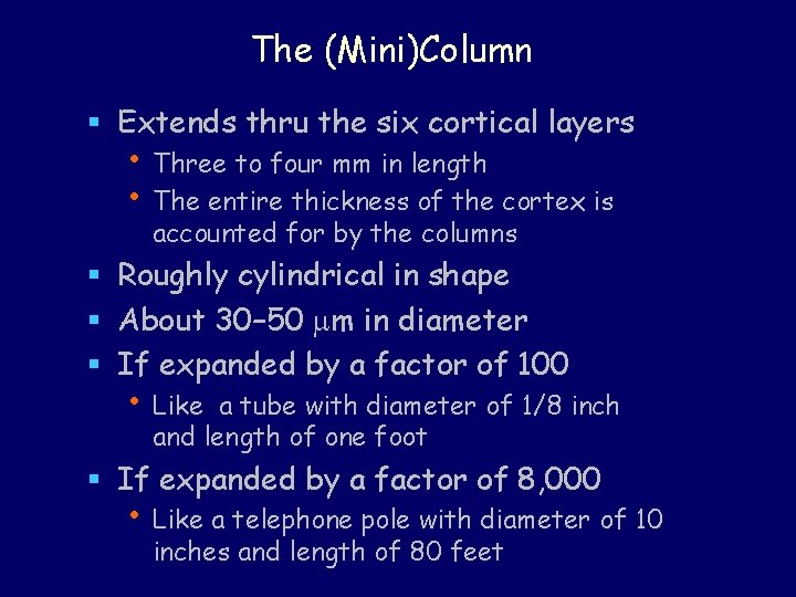 The (Mini)Column § Extends thru the six cortical layers • Three to four mm