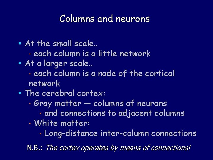 Columns and neurons § At the small scale. . • each column is a