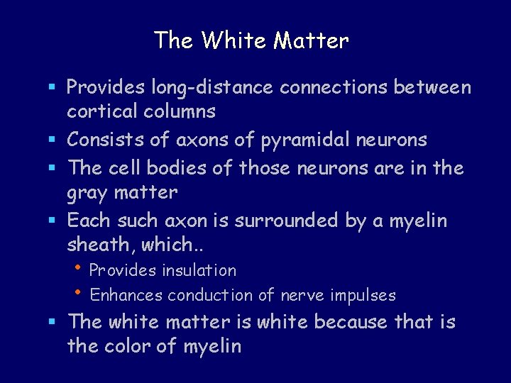 The White Matter § Provides long-distance connections between cortical columns § Consists of axons