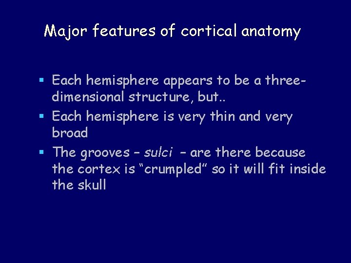 Major features of cortical anatomy § Each hemisphere appears to be a threedimensional structure,