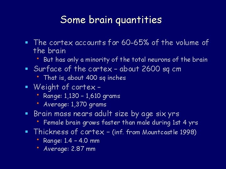 Some brain quantities § The cortex accounts for 60 -65% of the volume of