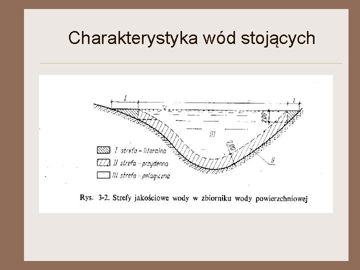 Charakterystyka wód stojących 