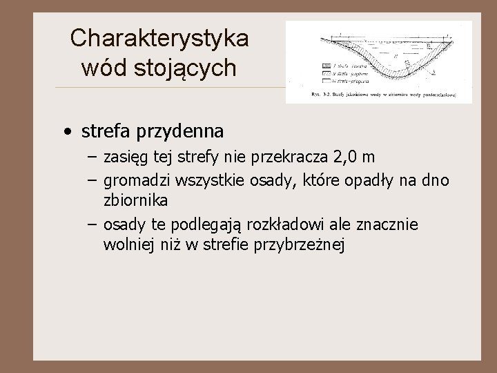 Charakterystyka wód stojących • strefa przydenna – zasięg tej strefy nie przekracza 2, 0 Charakterystyka wód stojących • strefa przydenna – zasięg tej strefy nie przekracza 2, 0