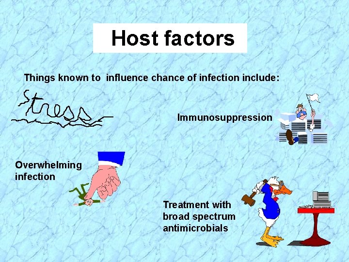 Host factors Things known to influence chance of infection include: Immunosuppression Overwhelming infection Treatment