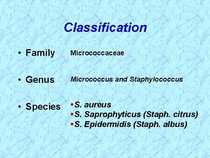 Classification • Family Micrococcaceae • Genus Micrococcus and Staphylococcus • Species §S. aureus §S.