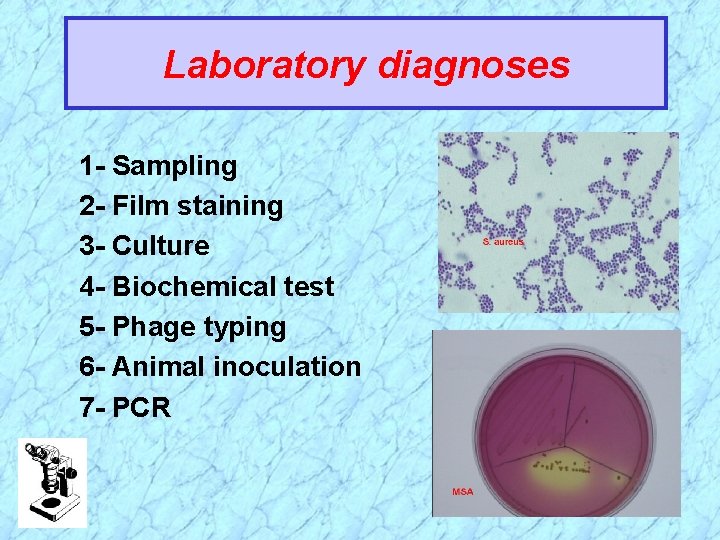 Laboratory diagnoses 1 - Sampling 2 - Film staining 3 - Culture 4 -