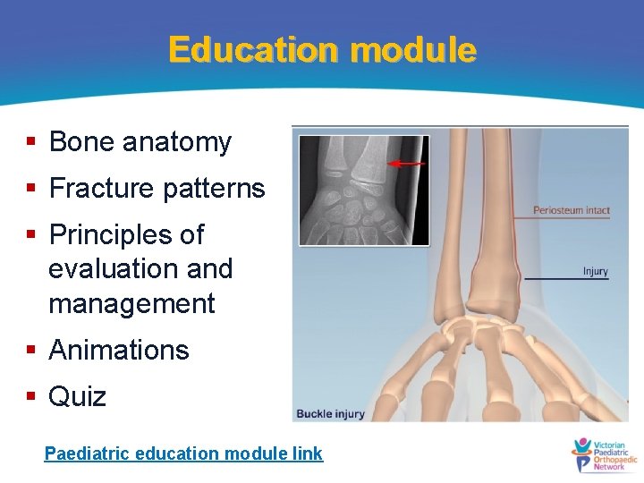 Education module § Bone anatomy § Fracture patterns § Principles of evaluation and management