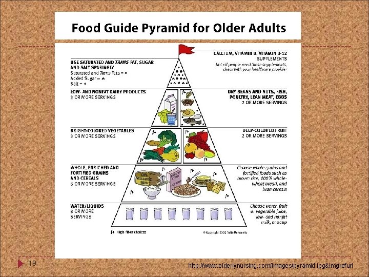 19 http: //www. elderlynursing. com/images/pyramid. jpg&imgrefurl 