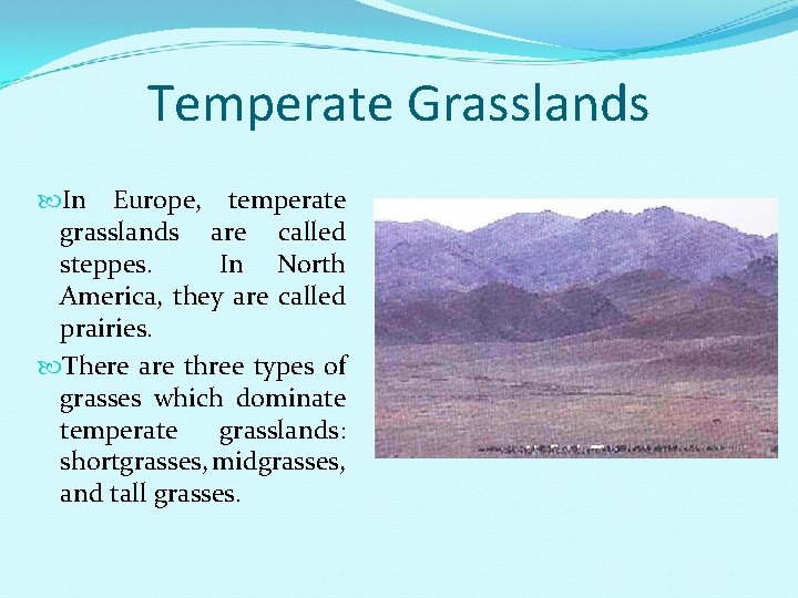 Temperate Grasslands In Europe, temperate grasslands are called steppes. In North America, they are