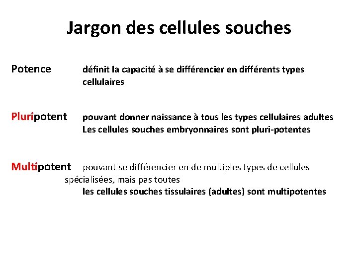 Jargon des cellules souches Potence définit la capacité à se différencier en différents types