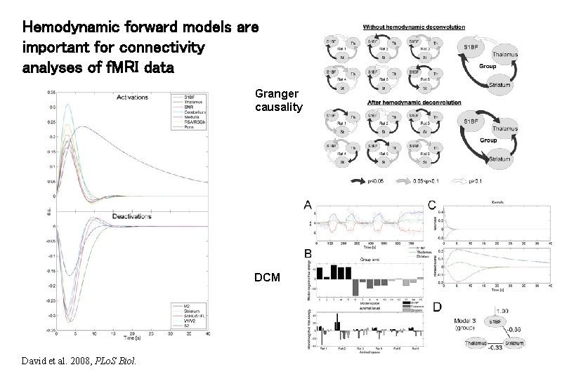 Hemodynamic forward models are important for connectivity analyses of f. MRI data Granger causality