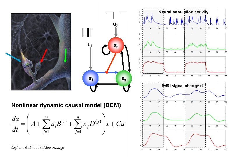 Neural population activity u 2 u 1 x 3 x 1 x 2 f.