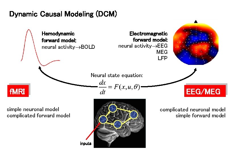 Dynamic Causal Modeling (DCM) Hemodynamic forward model: neural activity BOLD Electromagnetic forward model: neural