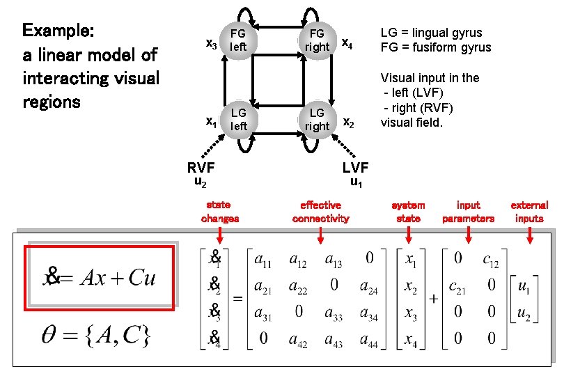 Example: a linear model of interacting visual regions x 3 x 1 FG left