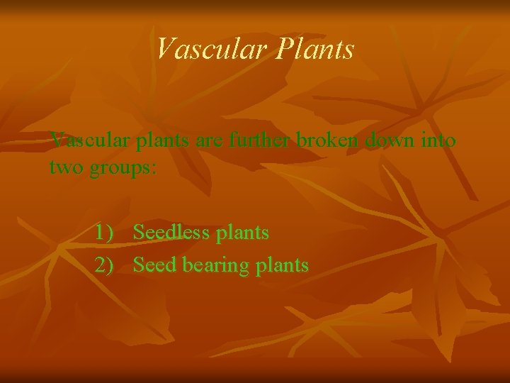 Vascular Plants Vascular plants are further broken down into two groups: 1) Seedless plants