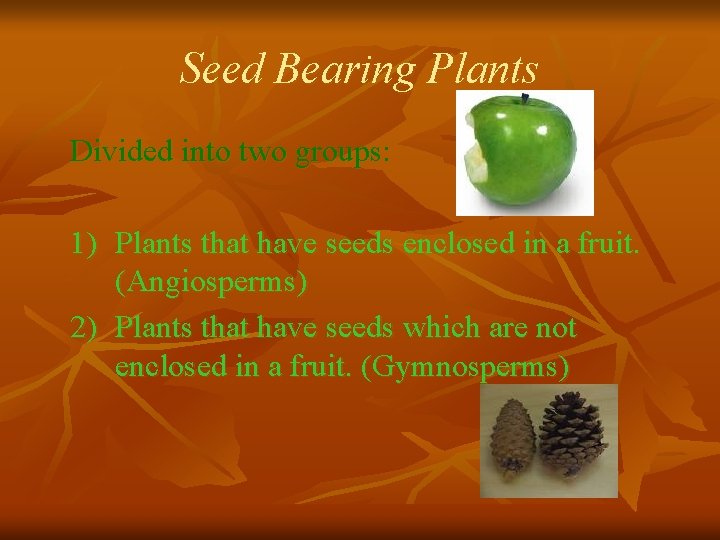 Seed Bearing Plants Divided into two groups: 1) Plants that have seeds enclosed in