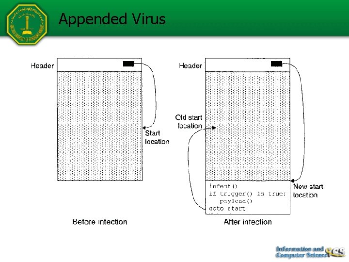 Appended Virus 