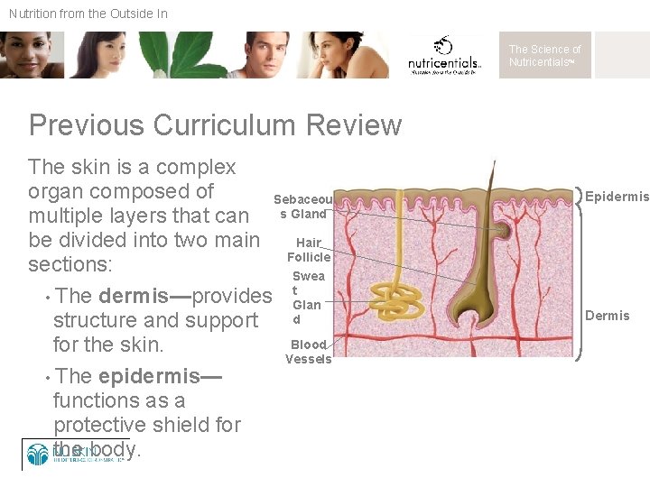 Nutrition from the Outside In The Science of Nutricentials™ Previous Curriculum Review The skin