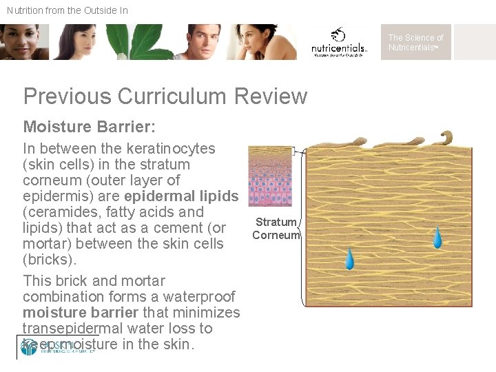 Nutrition from the Outside In The Science of Nutricentials™ Previous Curriculum Review Moisture Barrier: