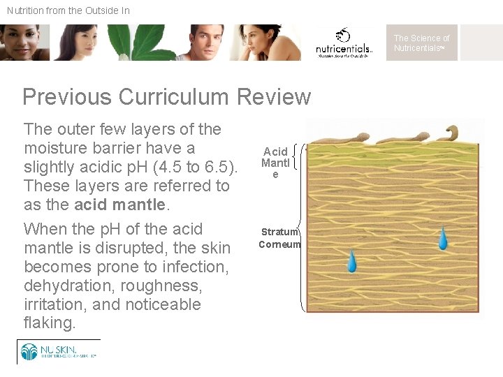Nutrition from the Outside In The Science of Nutricentials™ Previous Curriculum Review The outer