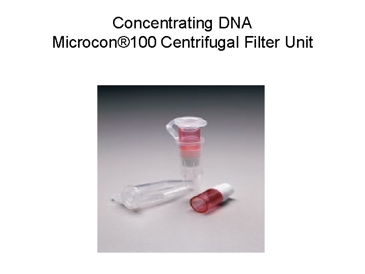 Concentrating DNA Microcon® 100 Centrifugal Filter Unit 