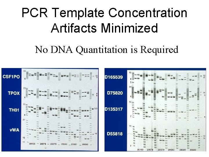 PCR Template Concentration Artifacts Minimized No DNA Quantitation is Required 