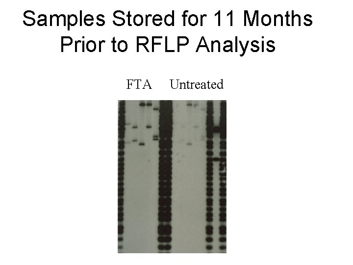 Samples Stored for 11 Months Prior to RFLP Analysis FTA Untreated 